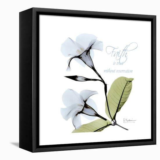 Mandelila Bloom-Albert Koetsier-Framed Stretched Canvas