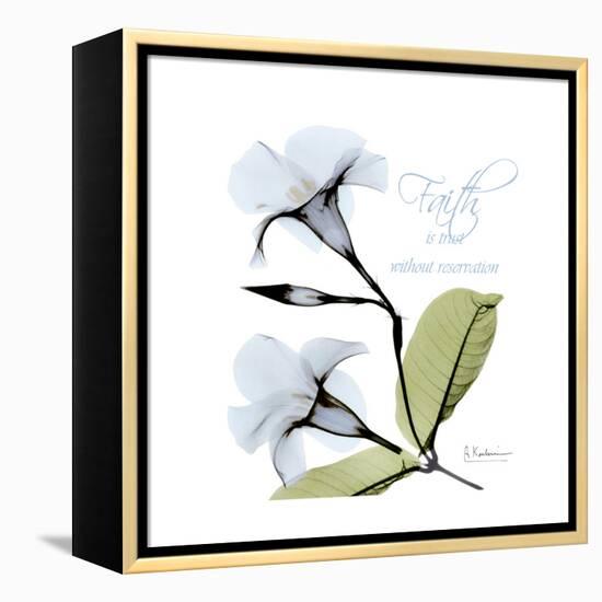 Mandelila Bloom-Albert Koetsier-Framed Stretched Canvas