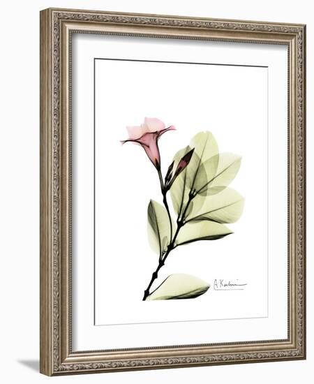 Mandelilla Portrait-Albert Koetsier-Framed Premium Giclee Print