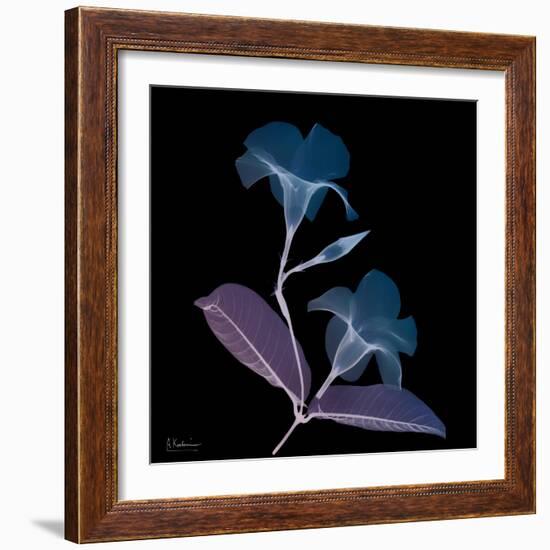 Mandelilla Purp and Black 2-Albert Koetsier-Framed Art Print