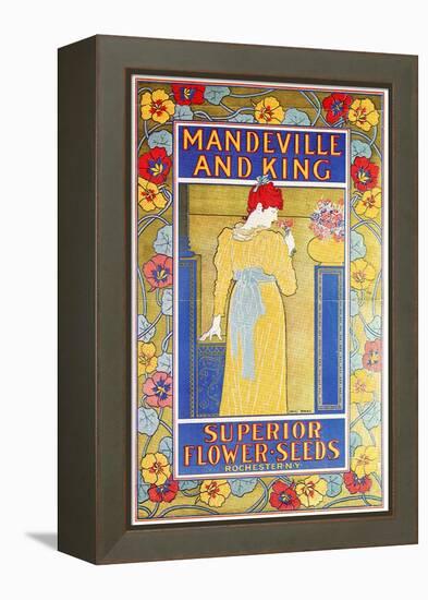 Mandeville & King Superior Flower Seeds-Louis John Rhead-Framed Stretched Canvas