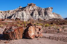 Painted Desert Badlands Petrified Forest-mandj98-Photographic Print