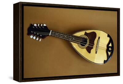 Mandola Musical Instrument Belonging to Lute Family Similar to