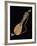 Mandola on Black Background-null-Framed Giclee Print