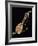 Mandola on Black Background-null-Framed Giclee Print