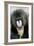 Mandrill Close-Up of Face-null-Framed Photographic Print