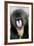 Mandrill Close-Up of Face-null-Framed Photographic Print