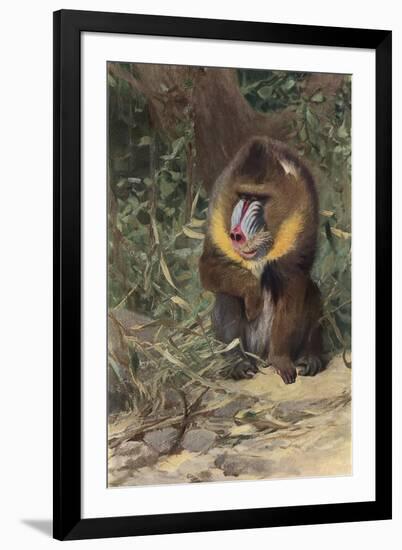 Art Print, , large