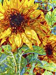 Four Sunflowers-Mandy Budan-Giclee Print