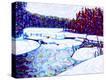 Stretched Canvas Print