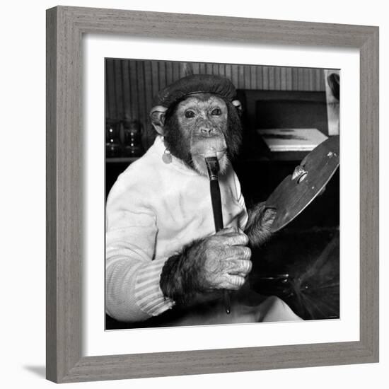 Mandy the Chimpanzee-null-Framed Photographic Print