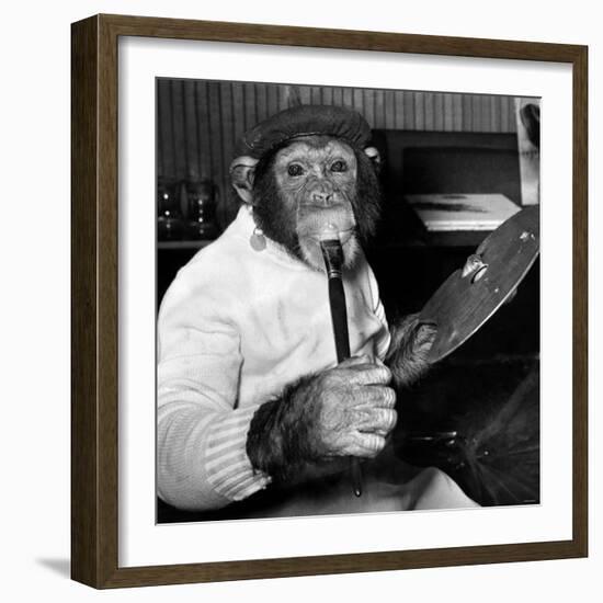 Mandy the Chimpanzee-null-Framed Photographic Print