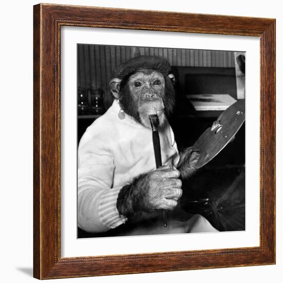 Mandy the Chimpanzee-null-Framed Photographic Print