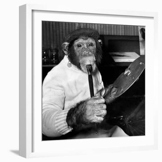 Mandy the Chimpanzee-null-Framed Photographic Print
