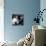 Mandy the Chimpanzee-null-Mounted Photographic Print displayed on a wall