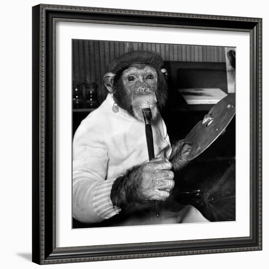 Mandy the Chimpanzee-null-Framed Photographic Print