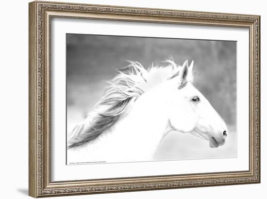 Mane in the Wind-Sally Linden-Framed Art Print