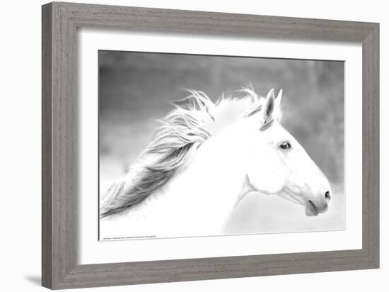 Mane in the Wind-Sally Linden-Framed Art Print