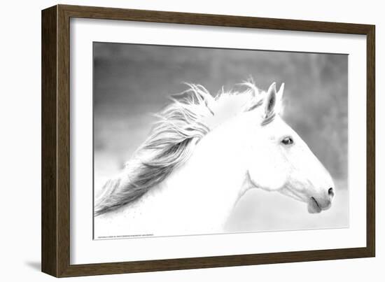 Mane in the Wind-Sally Linden-Framed Art Print