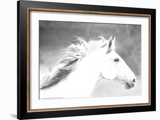 Mane in the Wind-Sally Linden-Framed Art Print