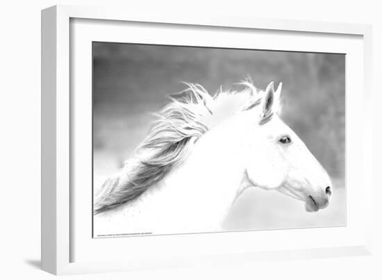 Mane in the Wind-Sally Linden-Framed Art Print