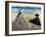 Manet: On The Beach, 1873-Edouard Manet-Framed Giclee Print