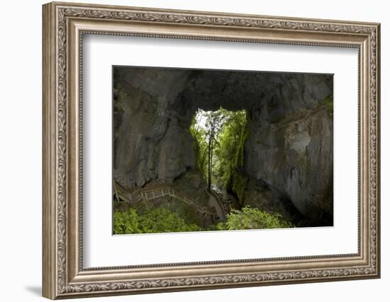 Mangapohue Natural Bridge, Waitomo District, Waikato, North Island, New Zealand-David Wall-Framed Photographic Print