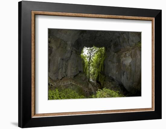 Mangapohue Natural Bridge, Waitomo District, Waikato, North Island, New Zealand-David Wall-Framed Photographic Print