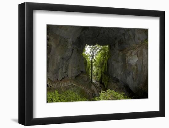 Mangapohue Natural Bridge, Waitomo District, Waikato, North Island, New Zealand-David Wall-Framed Photographic Print