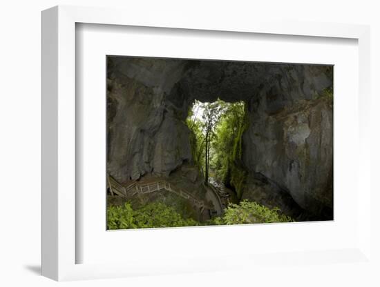 Mangapohue Natural Bridge, Waitomo District, Waikato, North Island, New Zealand-David Wall-Framed Photographic Print