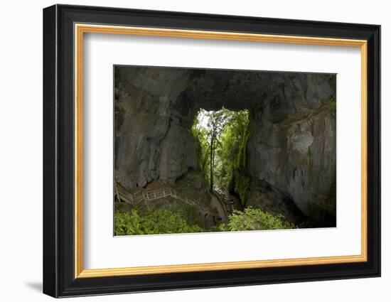 Mangapohue Natural Bridge, Waitomo District, Waikato, North Island, New Zealand-David Wall-Framed Photographic Print