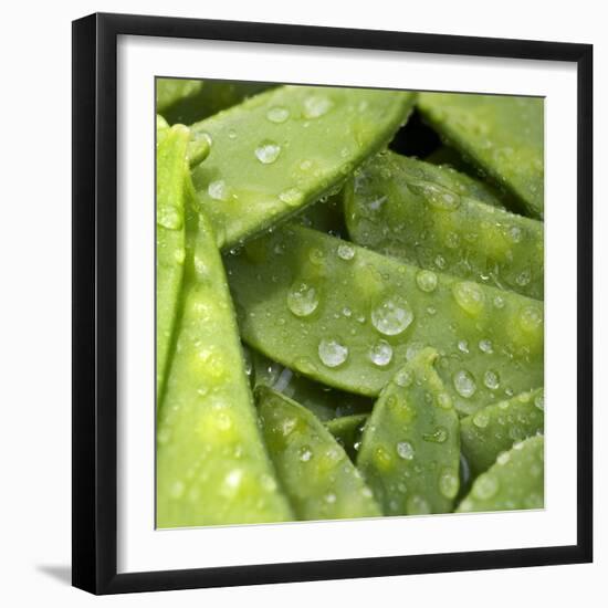 Mangetout with Drops of Water-Chris Schäfer-Framed Photographic Print