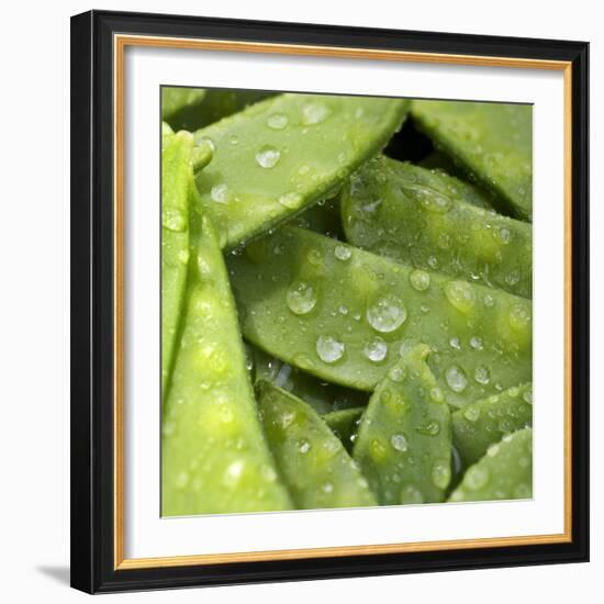 Mangetout with Drops of Water-Chris Schäfer-Framed Photographic Print