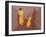 Mango Jazz, 2006-Kaaria Mucherera-Framed Giclee Print