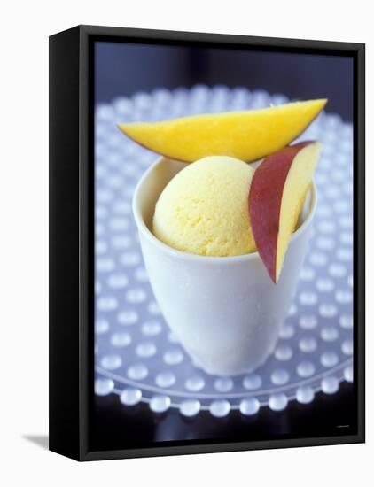 Mango & Lemon Ice Cream in a Tub-Jean Cazals-Framed Premier Image Canvas