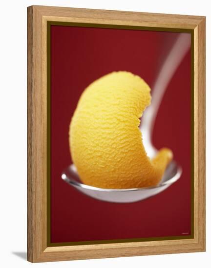 Mango Sorbet on a Spoon-Marc O^ Finley-Framed Premier Image Canvas