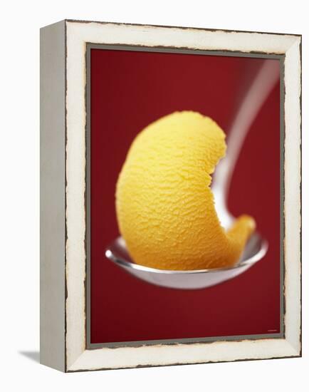 Mango Sorbet on a Spoon-Marc O^ Finley-Framed Premier Image Canvas