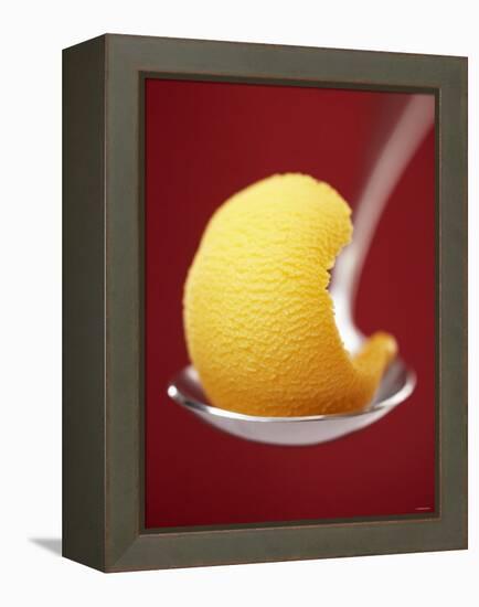 Mango Sorbet on a Spoon-Marc O^ Finley-Framed Premier Image Canvas