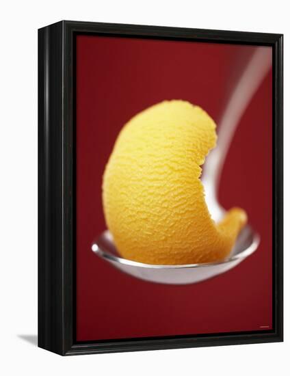 Mango Sorbet on a Spoon-Marc O^ Finley-Framed Premier Image Canvas