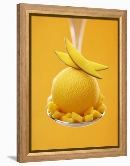 Mango Sorbet with Fresh Fruit on a Spoon-Marc O^ Finley-Framed Premier Image Canvas