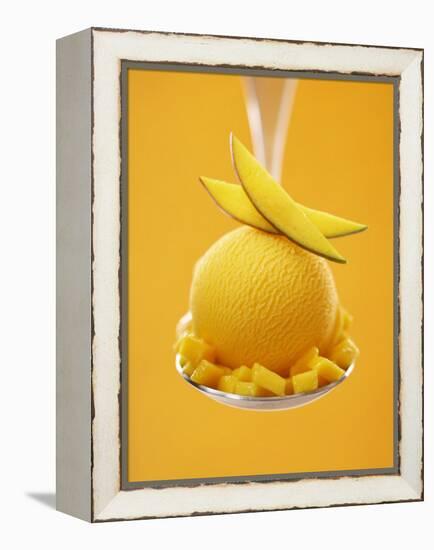 Mango Sorbet with Fresh Fruit on a Spoon-Marc O^ Finley-Framed Premier Image Canvas