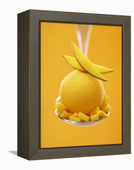 Mango Sorbet with Fresh Fruit on a Spoon-Marc O^ Finley-Framed Premier Image Canvas