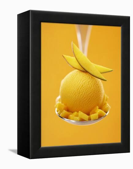 Mango Sorbet with Fresh Fruit on a Spoon-Marc O^ Finley-Framed Premier Image Canvas