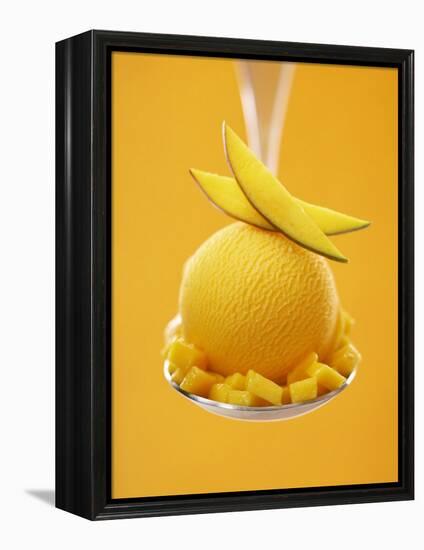 Mango Sorbet with Fresh Fruit on a Spoon-Marc O^ Finley-Framed Premier Image Canvas