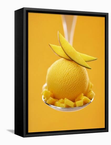 Mango Sorbet with Fresh Fruit on a Spoon-Marc O^ Finley-Framed Premier Image Canvas