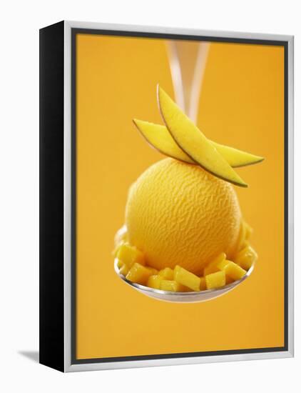 Mango Sorbet with Fresh Fruit on a Spoon-Marc O^ Finley-Framed Premier Image Canvas