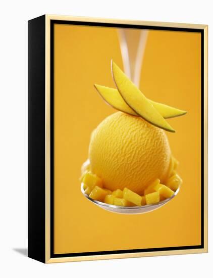 Mango Sorbet with Fresh Fruit on a Spoon-Marc O^ Finley-Framed Premier Image Canvas