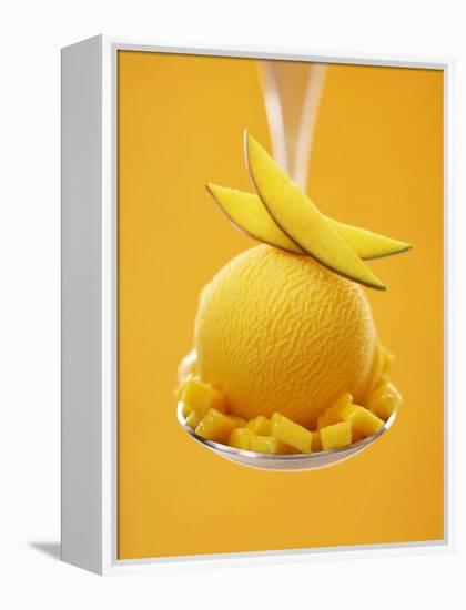 Mango Sorbet with Fresh Fruit on a Spoon-Marc O^ Finley-Framed Premier Image Canvas