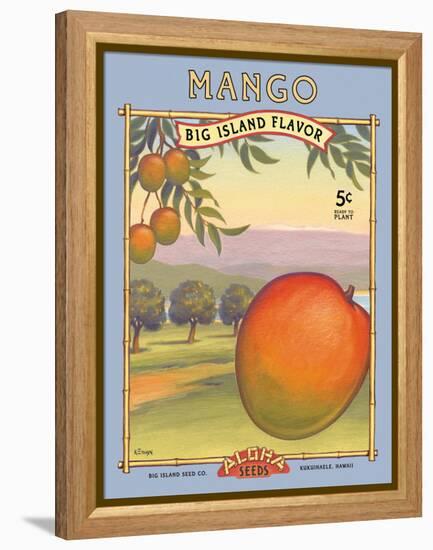 Mango-Kerne Erickson-Framed Stretched Canvas