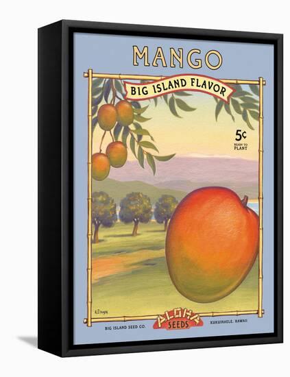 Mango-Kerne Erickson-Framed Stretched Canvas